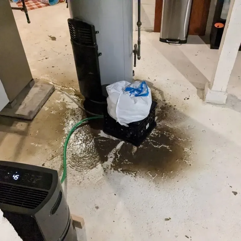 Sewage Backup Cleanup Service in Orange, MA